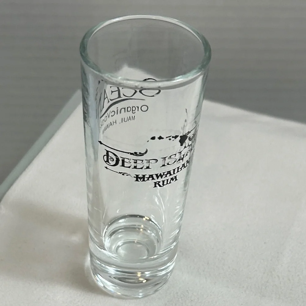 Shot Glass Lot of 4 Cozumel & Maui 4”H